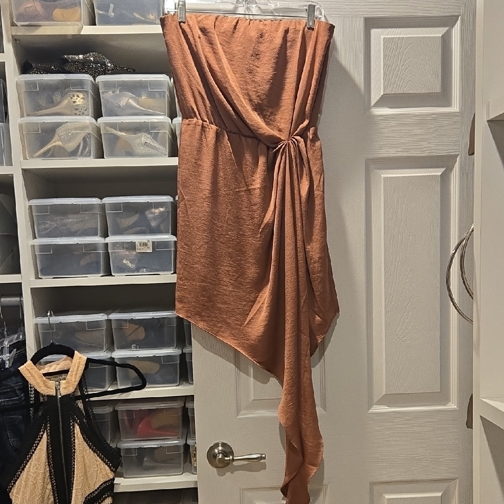 Elegant Express Orange Women's Dress